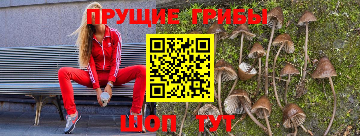 купить наркотики сайты  Вход с VPN  Набережные Челны  Галлюциногенные грибы прущие грибы 