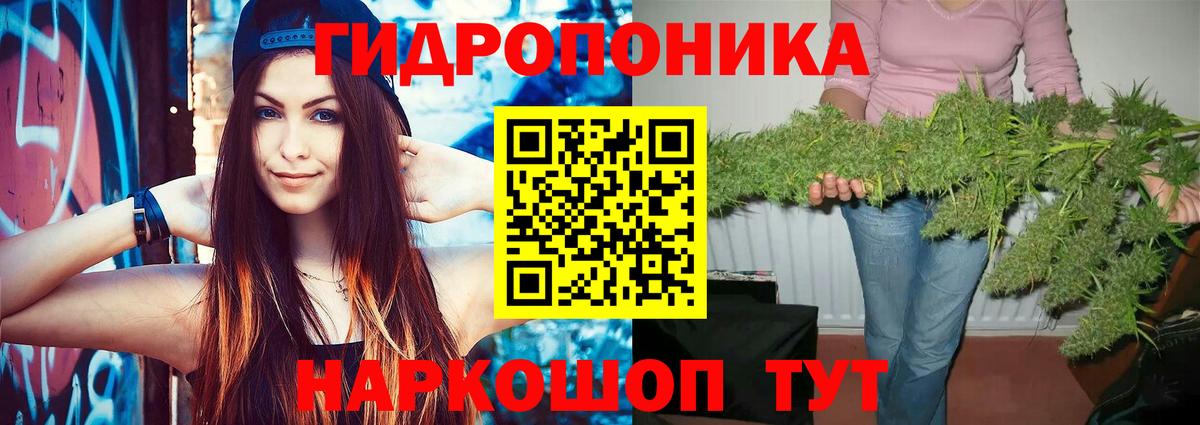 Бошки Шишки марихуана Набережные Челны